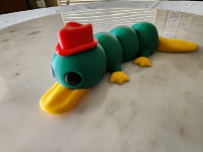 Fancy Platypus Sensorial