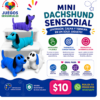Mini Dachshund Sensorial
