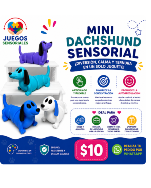 Mini Dachshund Sensorial