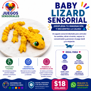 Baby Lizard Sensorial