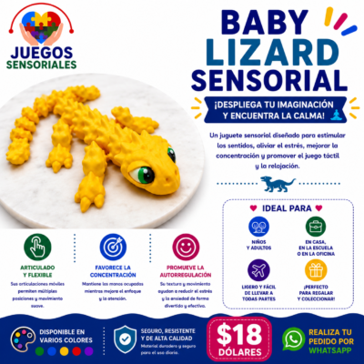 Baby Lizard Sensorial