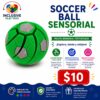 Soccer Ball Sensorial