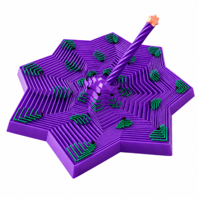 Sensory Octagon Star Fidget with Handle (Estrella Sensorial)